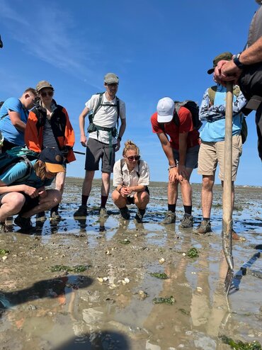 Gastbeitrag: Wattenmeer-Seminar – Naturwissenschaft live erleben