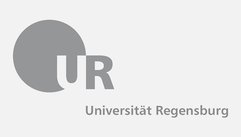Hans Riegel-Fachpreise: Logo Uni Regensburg